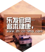 乐发IIapp中德合璧 实力可鉴