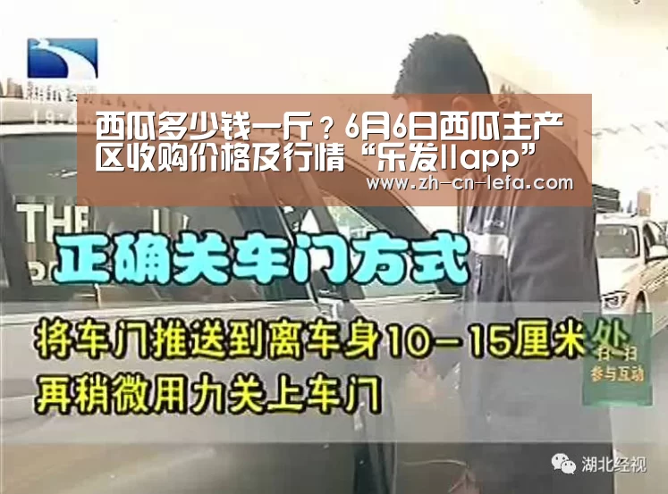 西瓜多少钱一斤？6月6日西瓜主产区收购价格及行情“乐发IIapp”