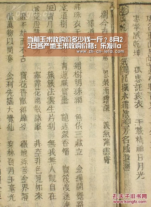 当前玉米收购价多少钱一斤?8月22日各产地玉米收购价格:乐发IIapp(图2) 乐发IIapp